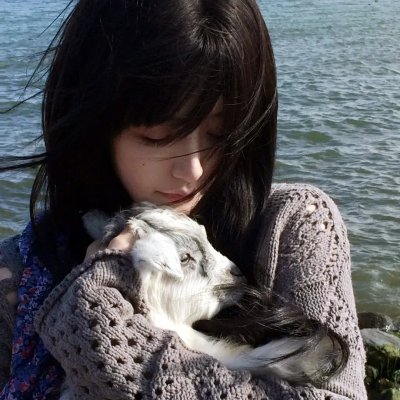 饿虎扑羊